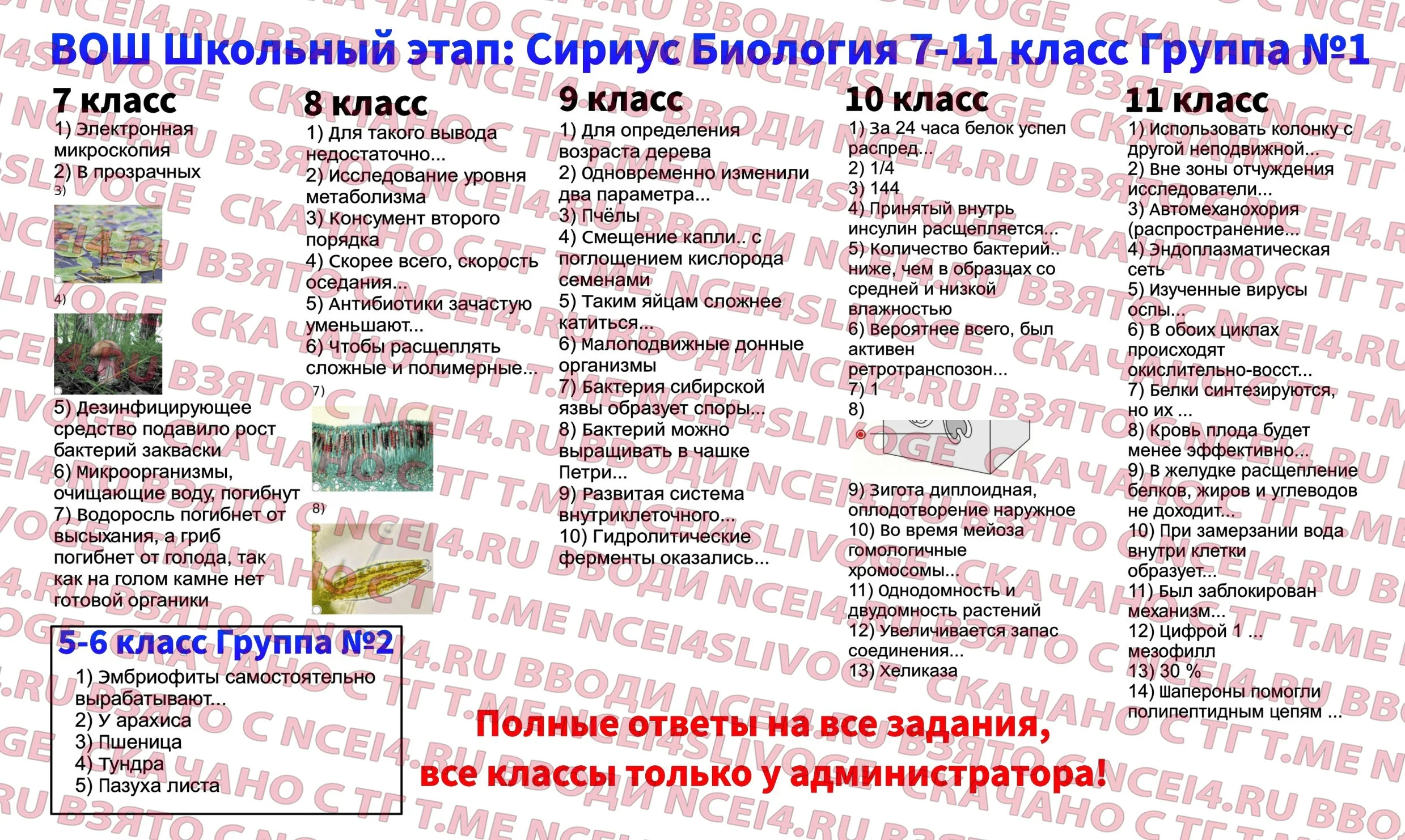 Фото ответа — открыть в Telegram